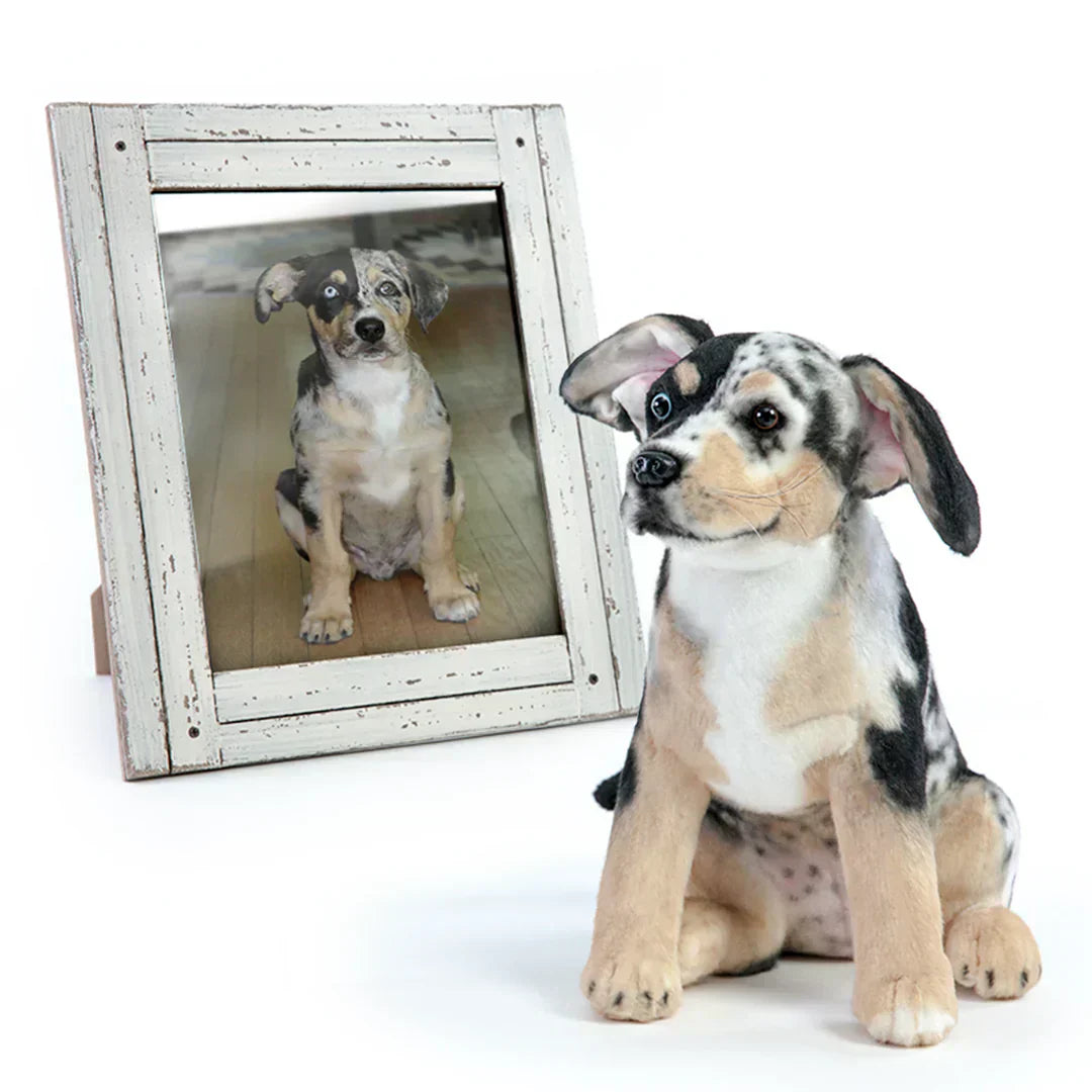 The Unique Charm of Custom Cuddle Clone Plush Toys