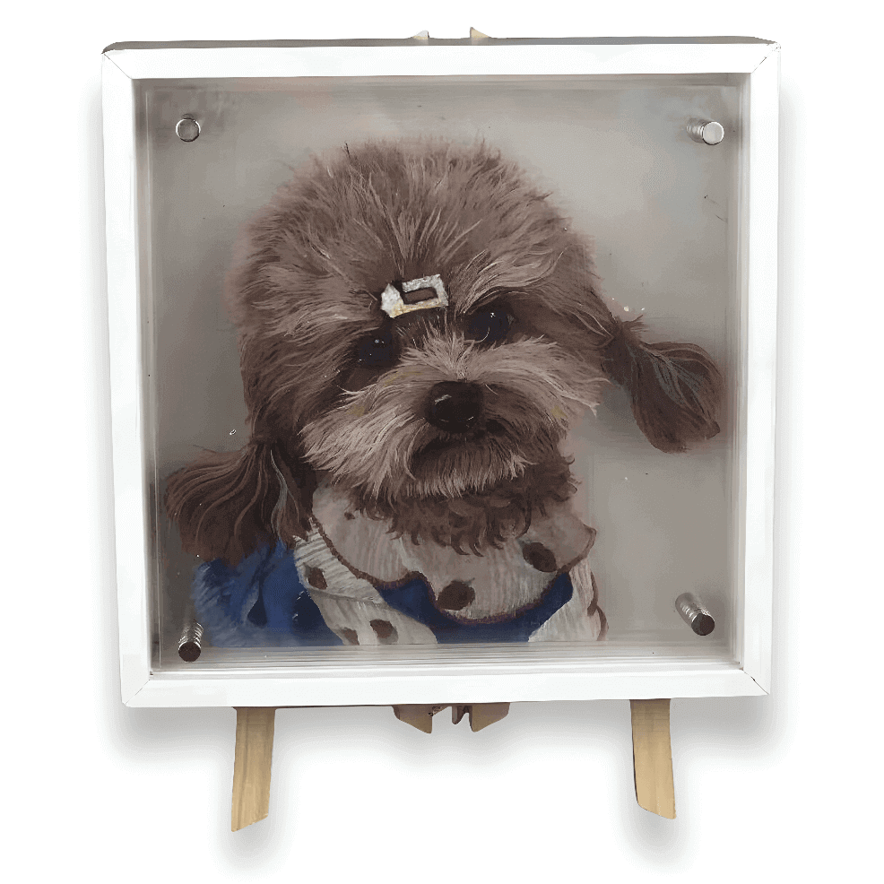 Custom 3D Acrylic Pet Display
