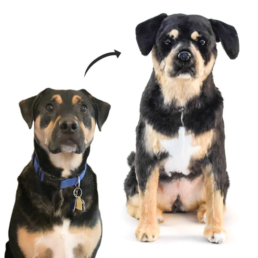 Two small black and tan dogs sitting side by side, with their custom plush clones.