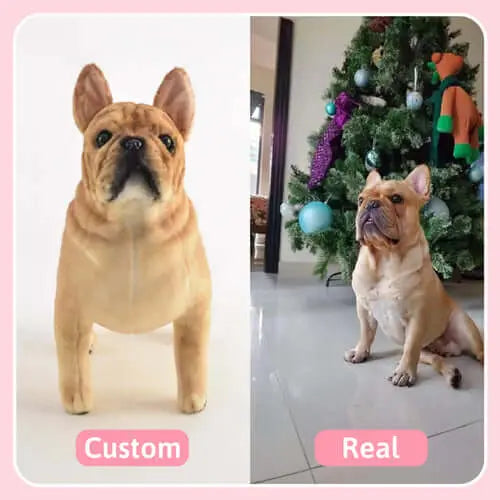 Dog and cat for art custom portrait, before and after personalised soft toys
