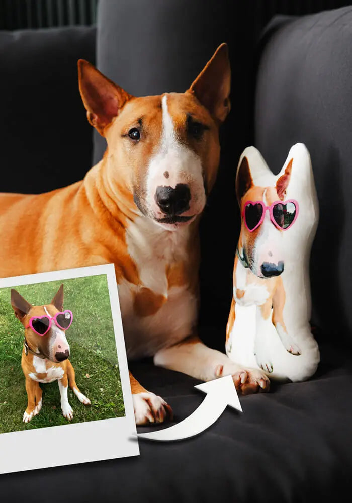 Custom pet cuddle clone pillow of a dog wearing sunglasses, personalized plush cushion by Paw-Pixie