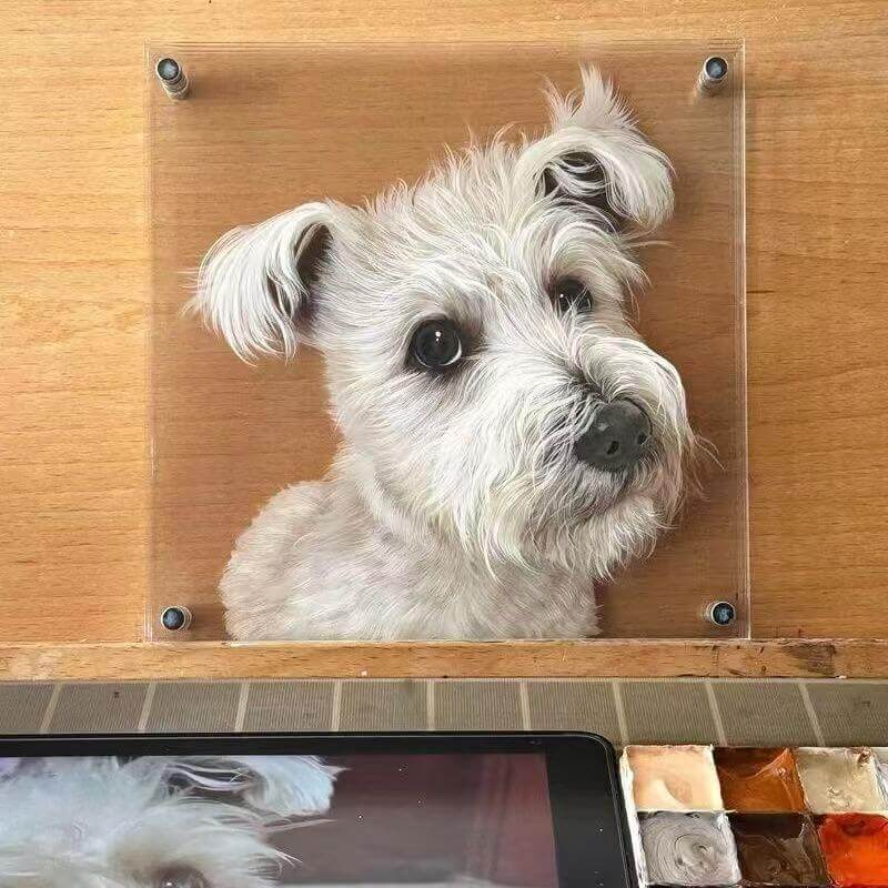 Customized cat paw print in transparent 3D acrylic art