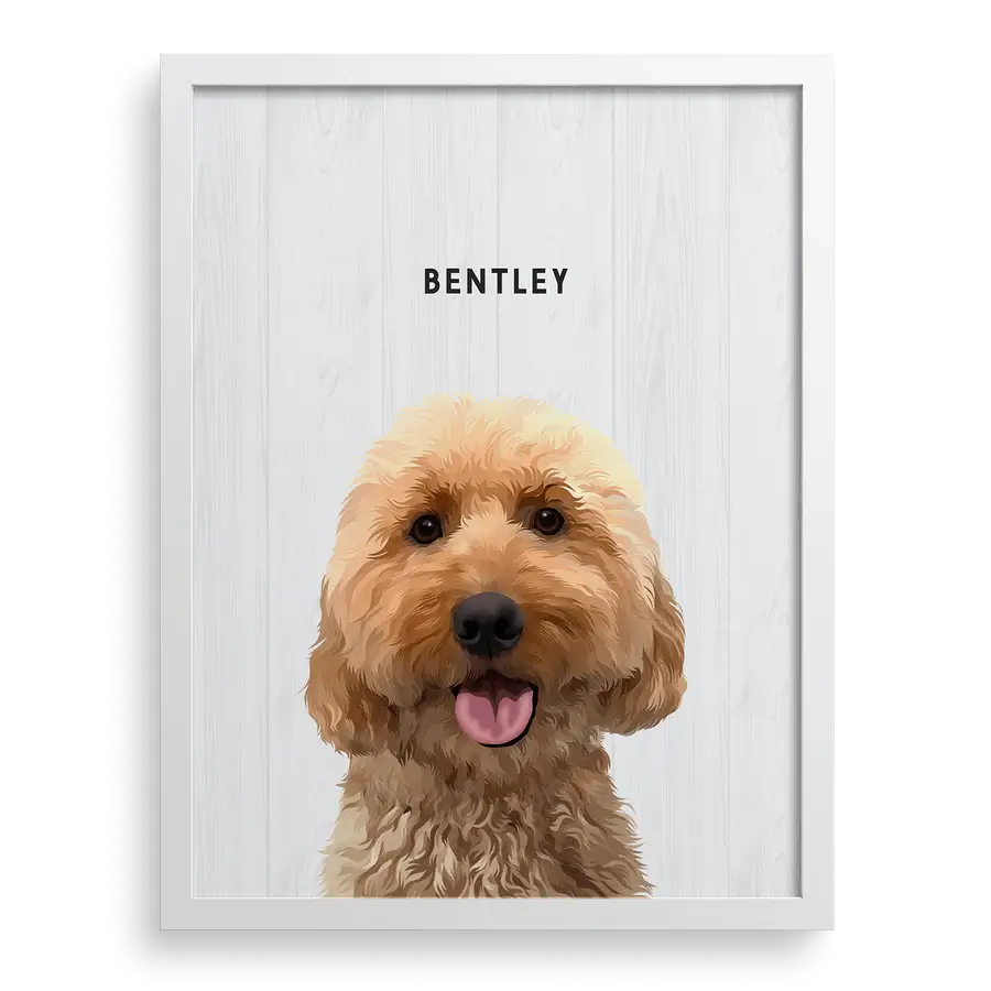 Custom noble pet illustration with scroll background and banner