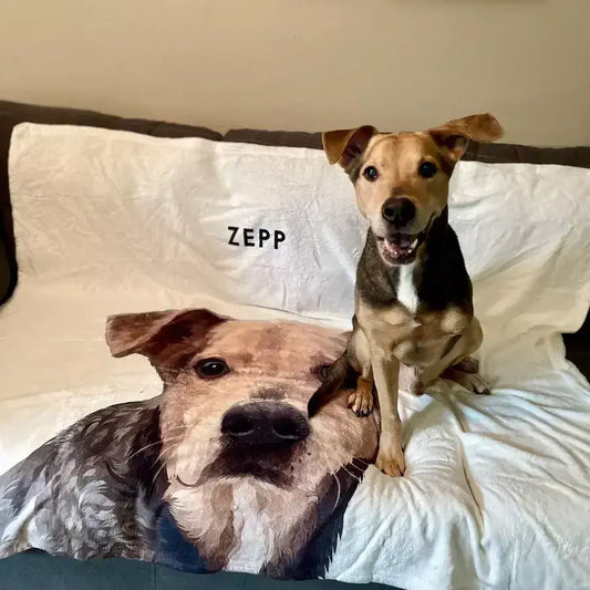 Custom Sherpa Pet Photo Blankets