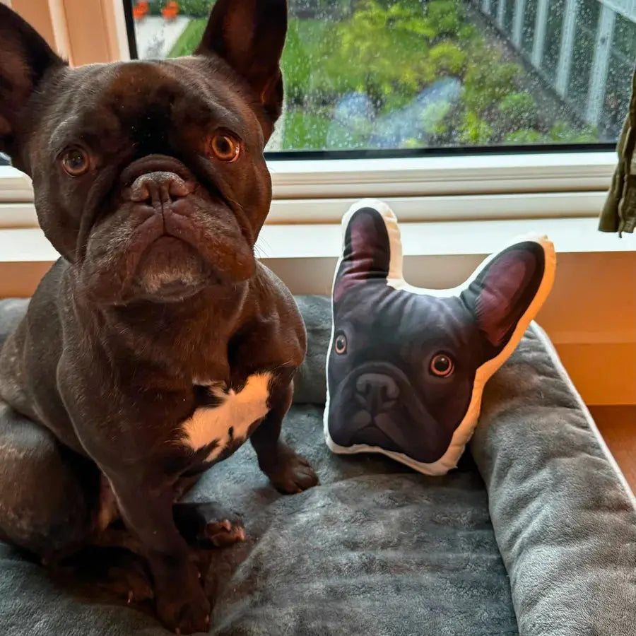 Custom bulldog cushion from Paw-Pixie, designed as a lifelike pet replica for ultimate cuddles.