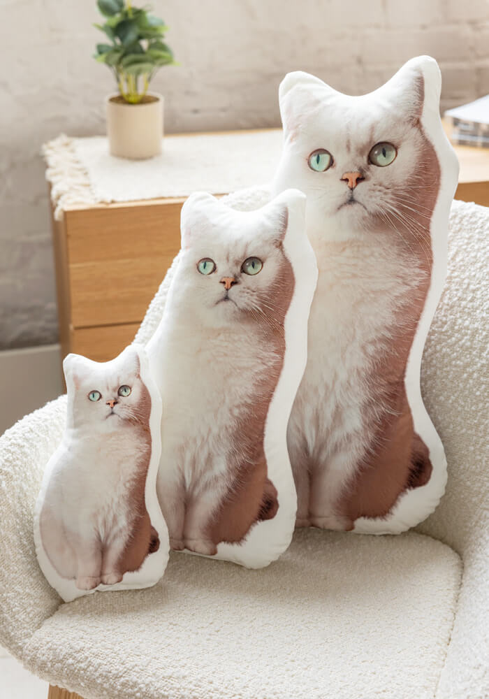 The Regal Cat custom pet pillow in lifelike design by Paw-Pixie