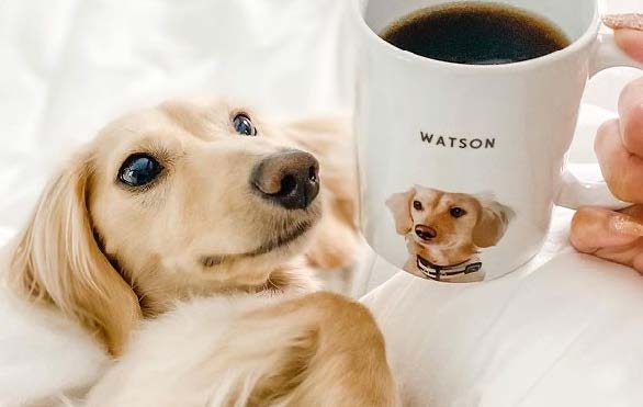 Custom pet photo mug with dog portrait and real dog beside it – personalized dog gift