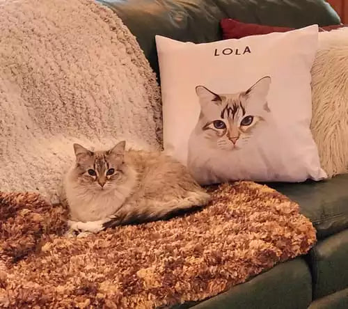 Custom Pet Throw Pillow