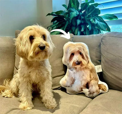 Custom Shaped Pet Portrait Pillows
