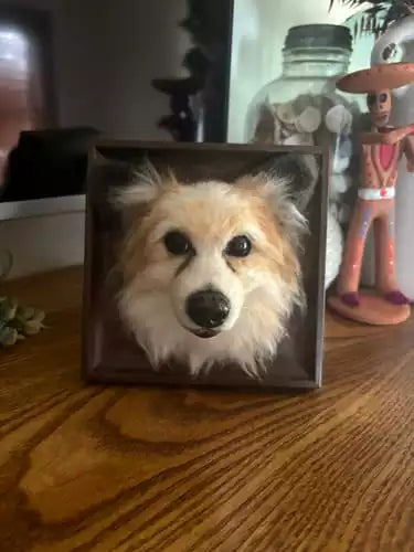 Custom Framed Plush Pet Portrait