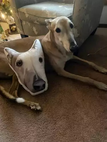 Custom Shaped Pet Portrait Pillows