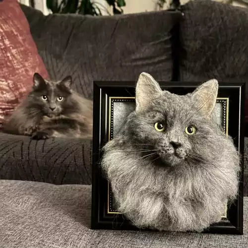 Custom Framed Plush Pet Portrait