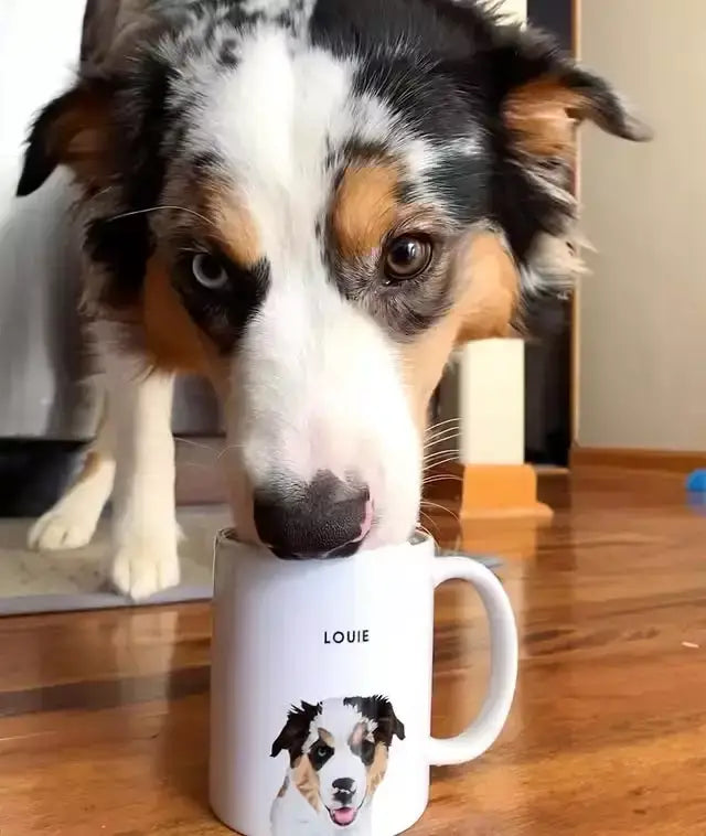 Custom Pet Portrait Mug