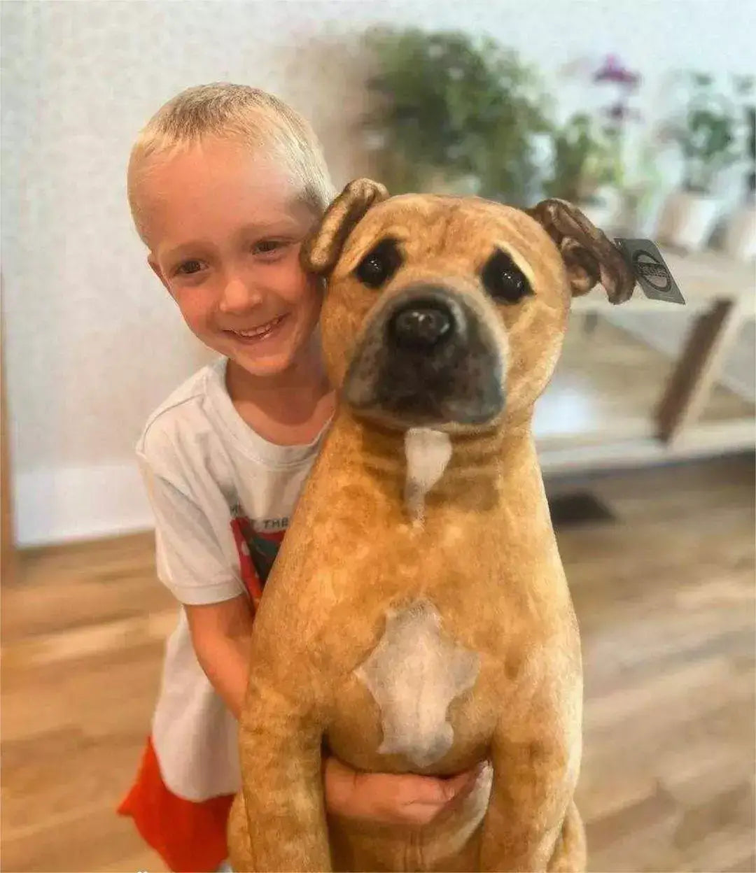 Custom Pet Memorial Plush Cuddle Clone