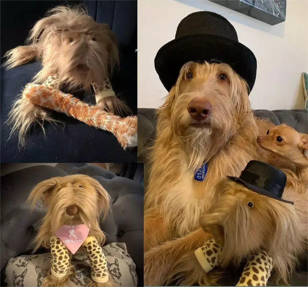 Custom Pet Memorial Plush Cuddle Clone