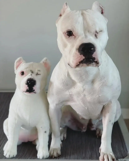 Custom Pet Memorial Plush Cuddle Clone