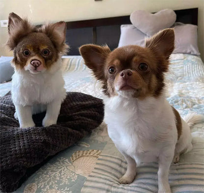 Custom Pet Memorial Plush Cuddle Clone