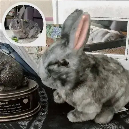 Custom Pet Memorial Plush Cuddle Clone