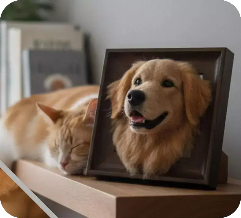 Custom Framed Plush Pet Portrait