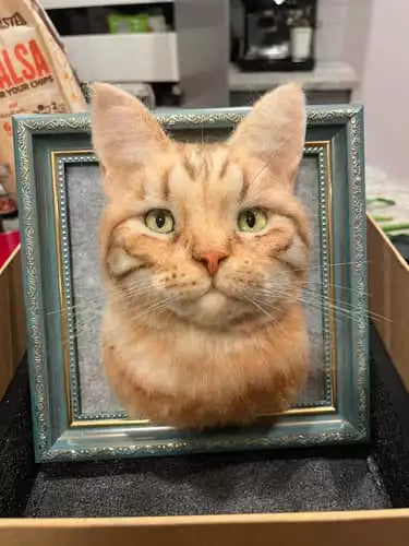 Custom Framed Plush Pet Portrait