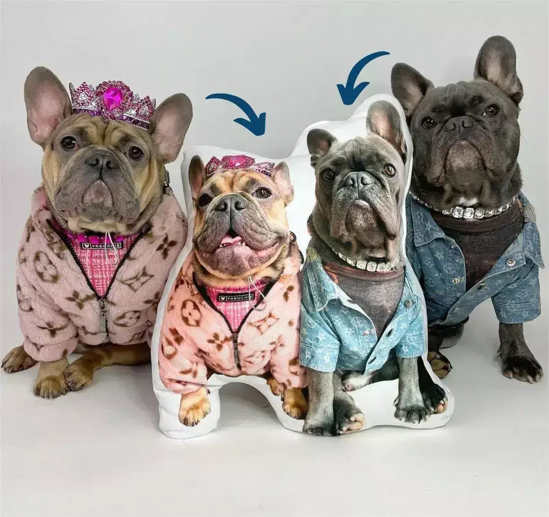 Custom Shaped Pet Portrait Pillows