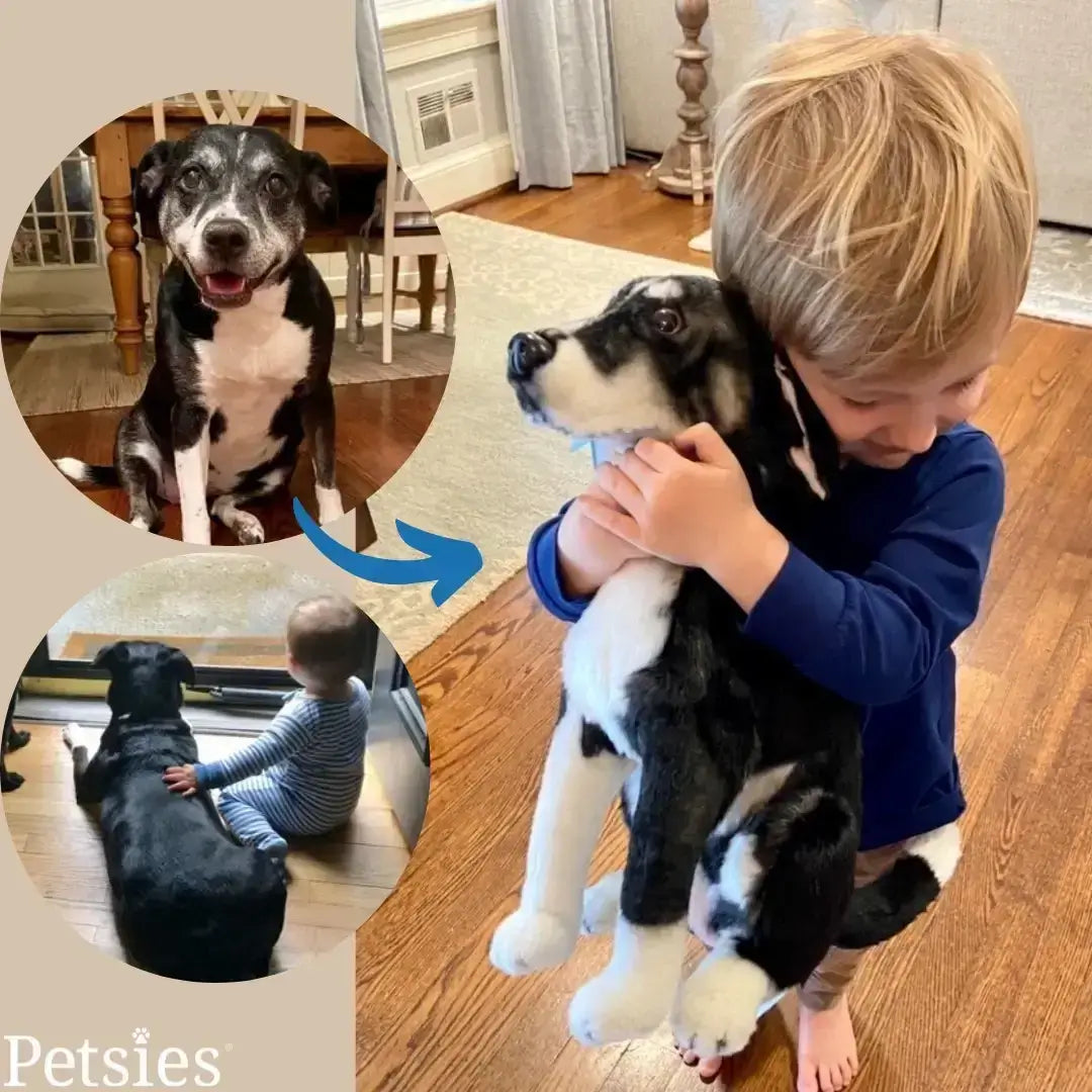 Custom Pet Memorial Plush Cuddle Clone