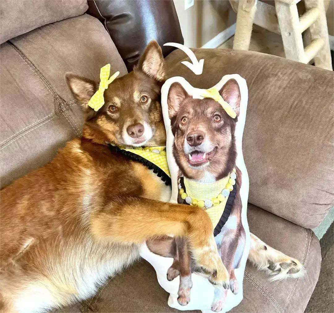 Custom Shaped Pet Portrait Pillows