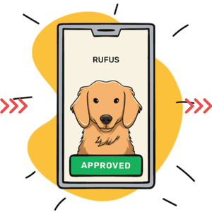 Illustration of portrait layout styles specific to cats and dogs