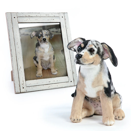 A lifelike custom dog plush placed beside a photo frame of the real dog, emphasizing accuracy.