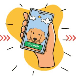 Color style variations for printed pet posters