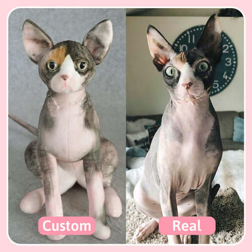 Example showing head-only vs full-body pet portrait selection