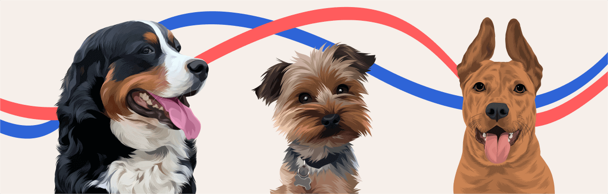 Two dogs connected by red ribbon, symbol of love and pet bond