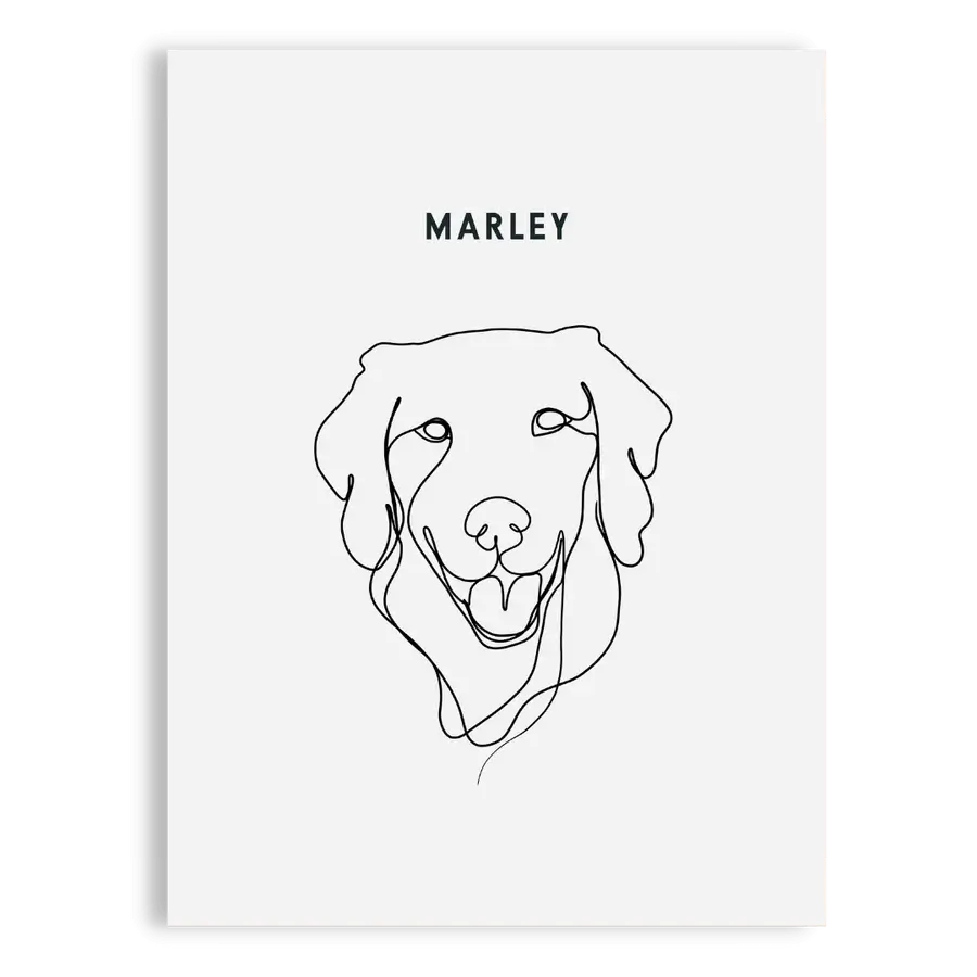 Artistic pet line sketch of a labrador with soft expression