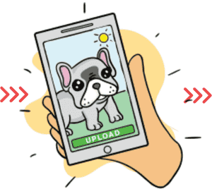 Upload pet photo for custom dog artwork, plush animal pillows and memorial gifts