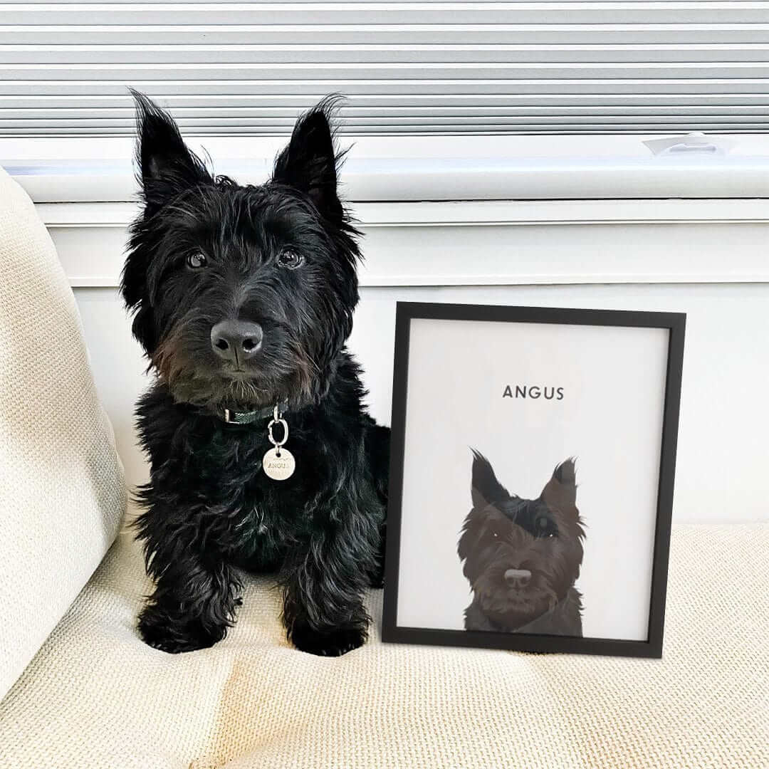 Pet illustrations with soft drop shadow vs clean background comparison