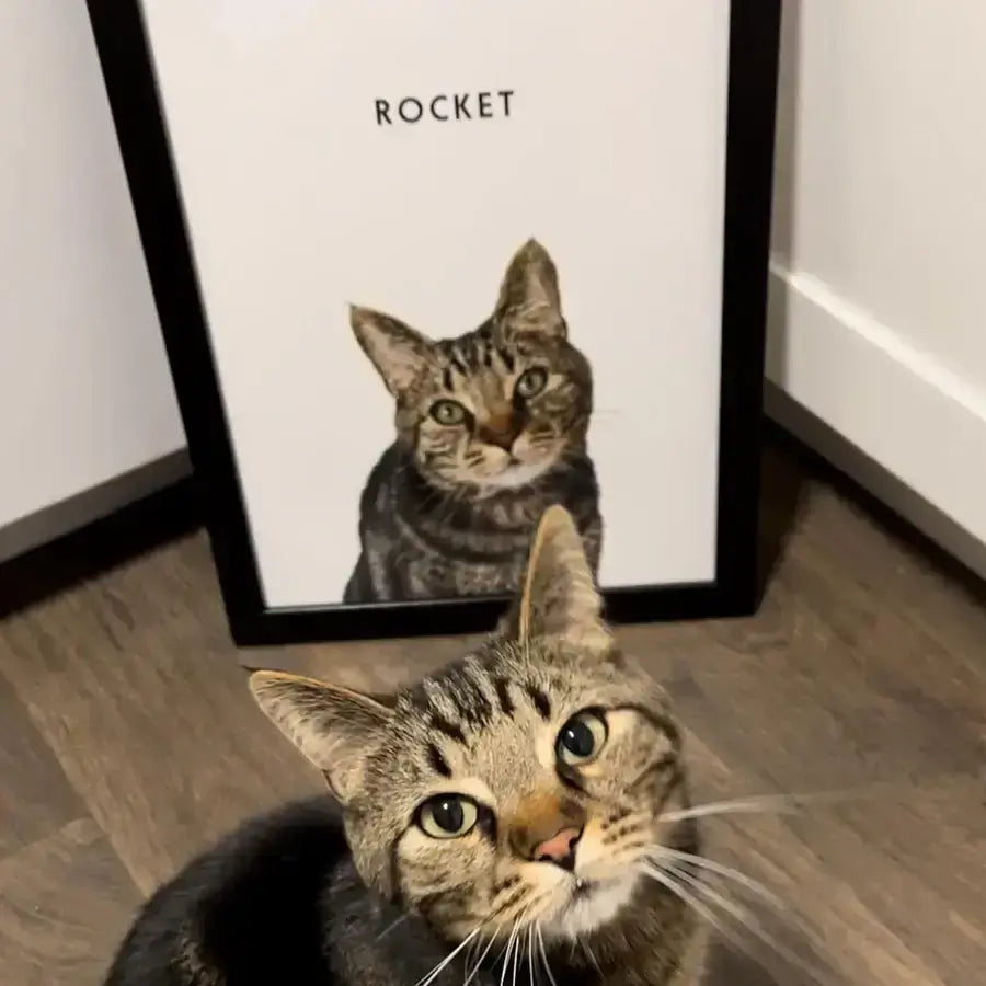 Custom Portrait for One Pet PawPixie