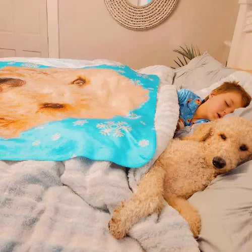 A winter-themed pet blanket designed to keep your pet and family warm.