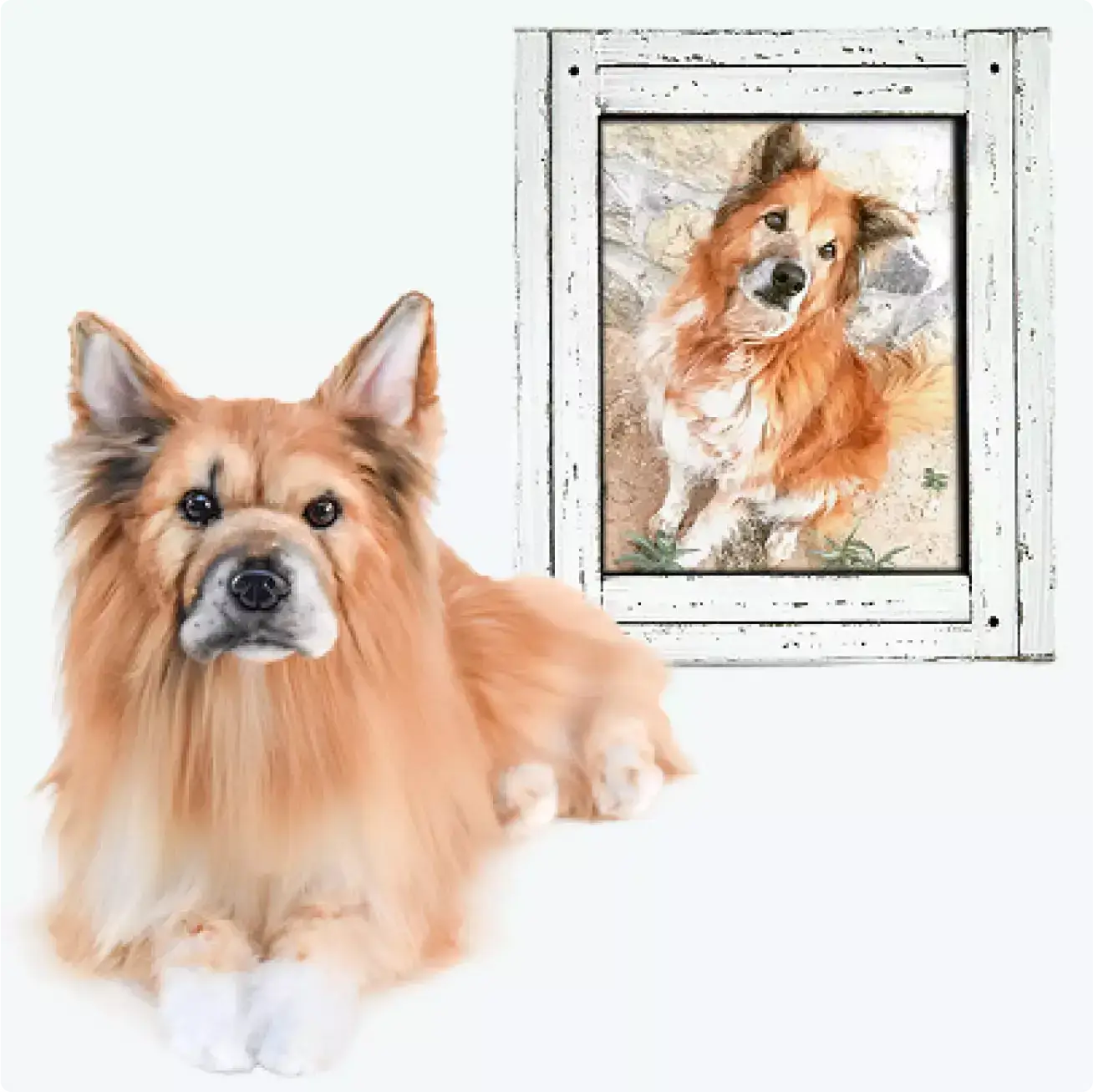 Custom pet plush clone created from a real dog photo as a personalized stuffed animal keepsake