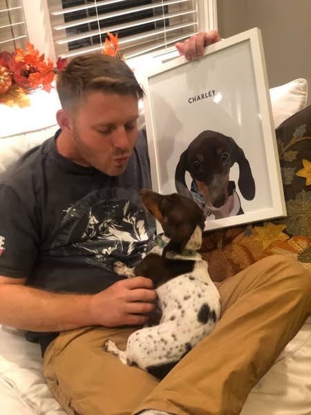 Realistic custom dog portrait framed above pet bed