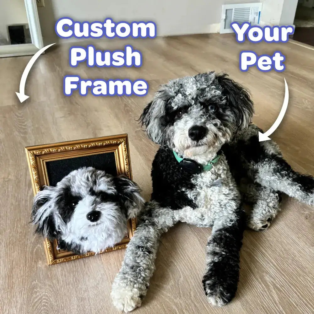 Custom Plush Dog Portrait Frame by PawPixie – A lifelike plush dog replica elegantly framed for display.