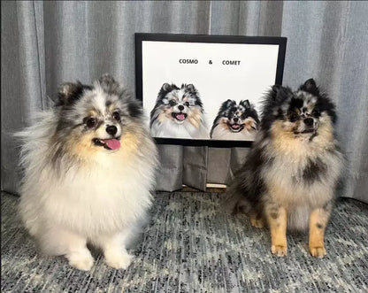 Custom Portrait for One Pet