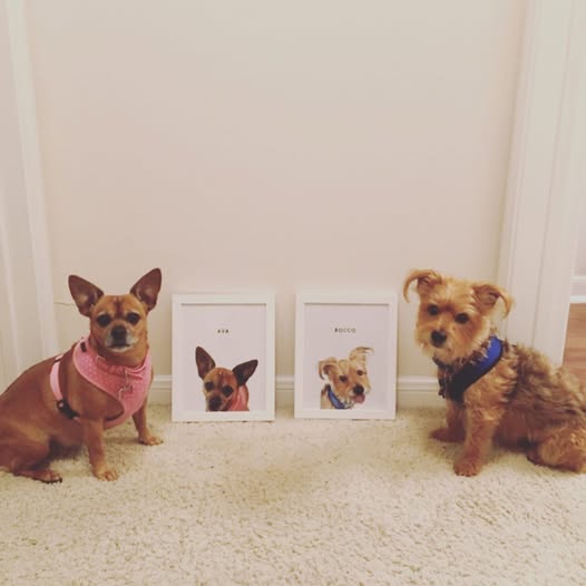 Personalized cat artwork framed and displayed in customer’s home